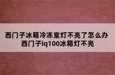 西门子冰箱冷冻室灯不亮了怎么办 西门子iq100冰箱灯不亮